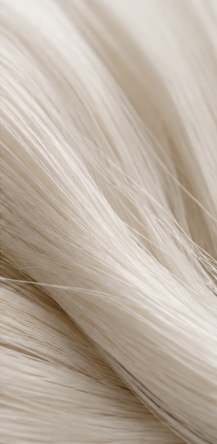 Highest Grade 6A Long Fiber